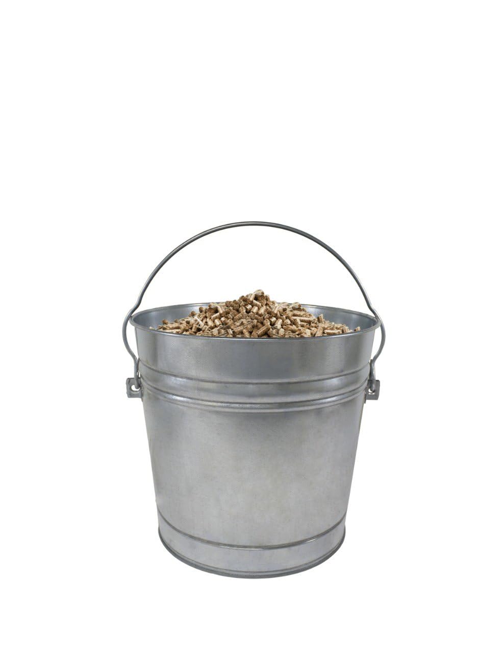 10-Gallon Galvanized Steel Trash Can with Locking Lid R3998