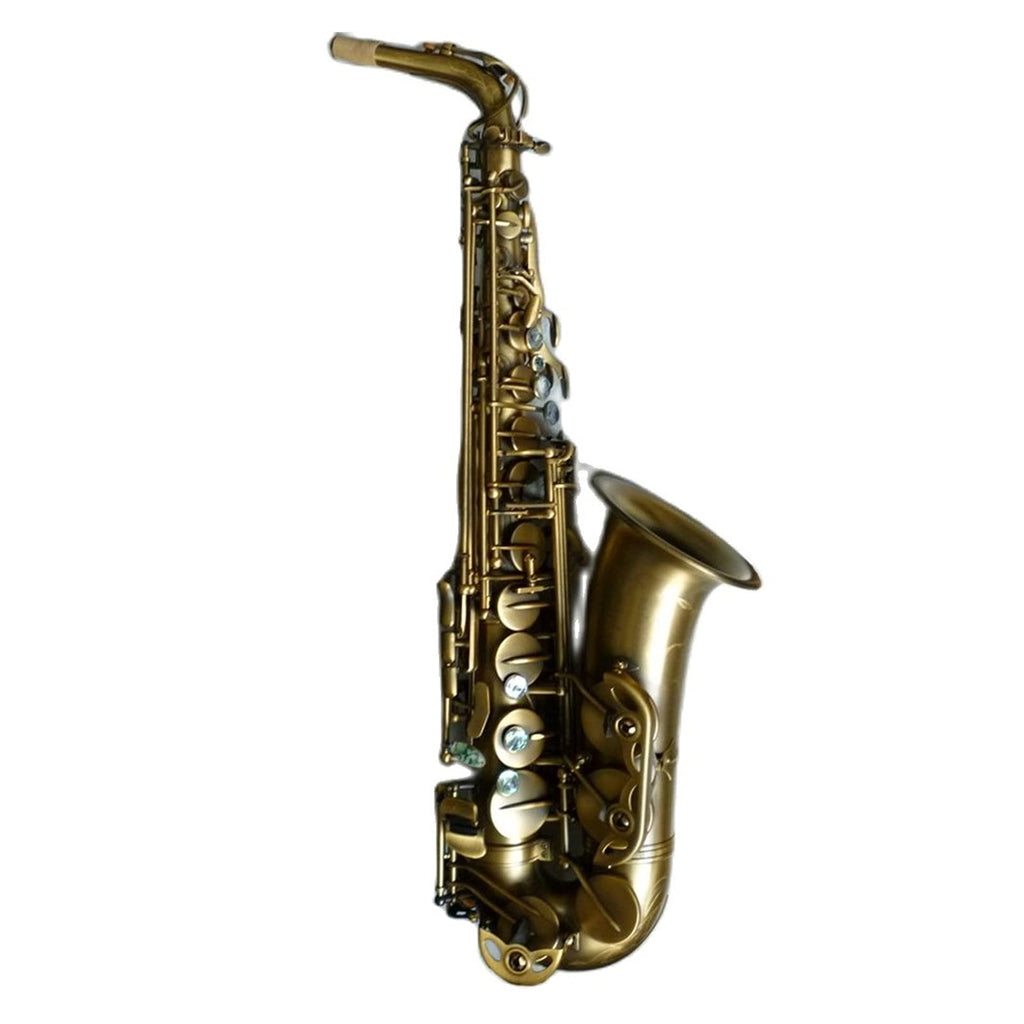 Alto Saxophone Set L6249