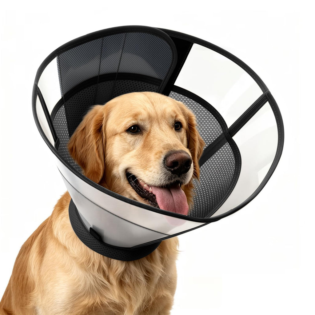 Soft Dog Cone Collar N802
