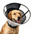 Soft Dog Cone Collar N802