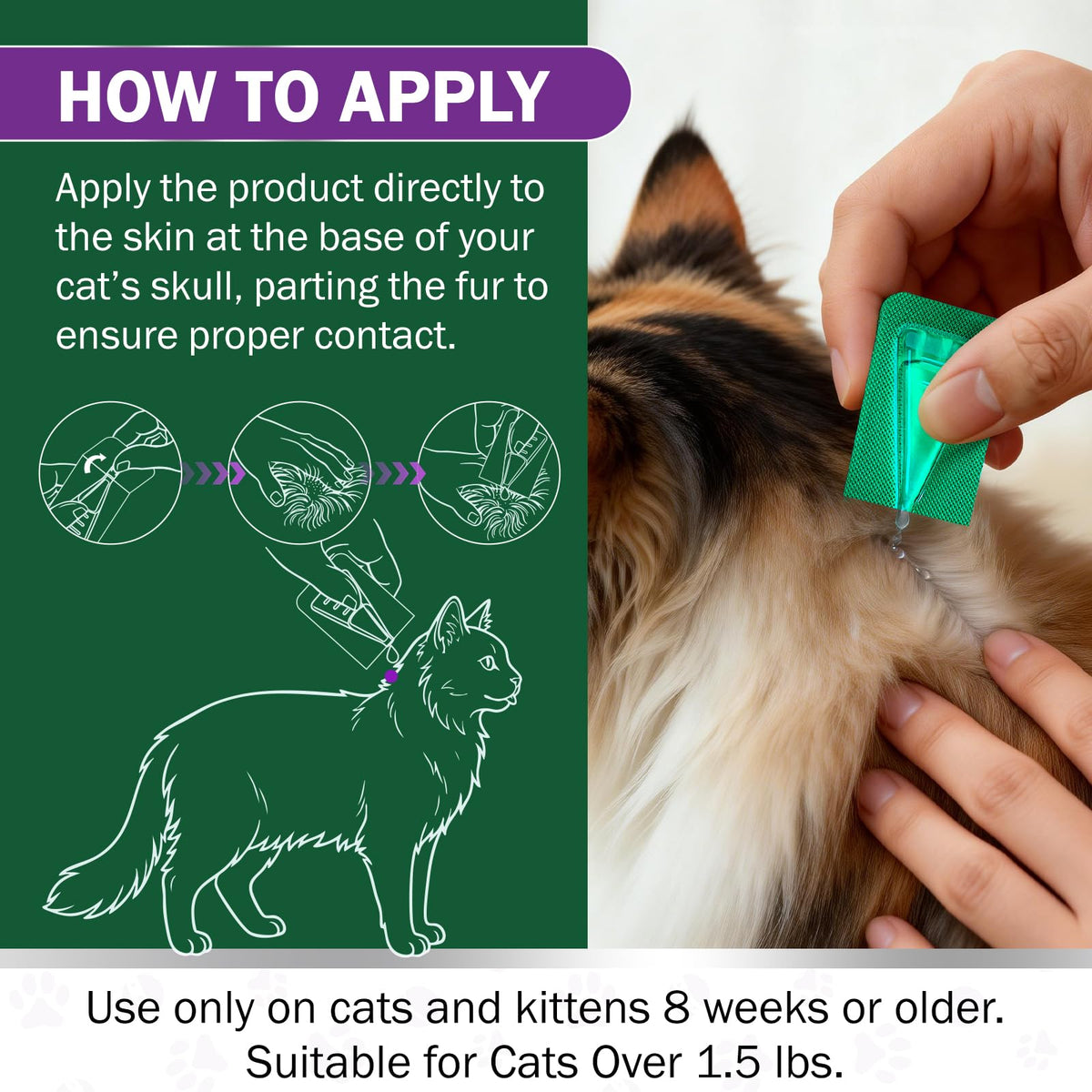 Cat Flea and Tick Prevention 6-Month Supply T5569