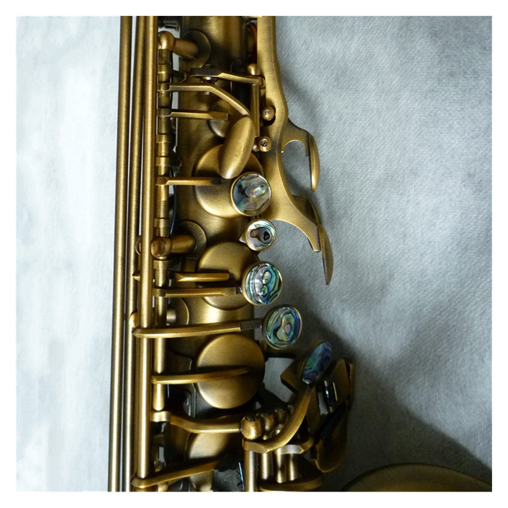 Alto Saxophone Set L6249