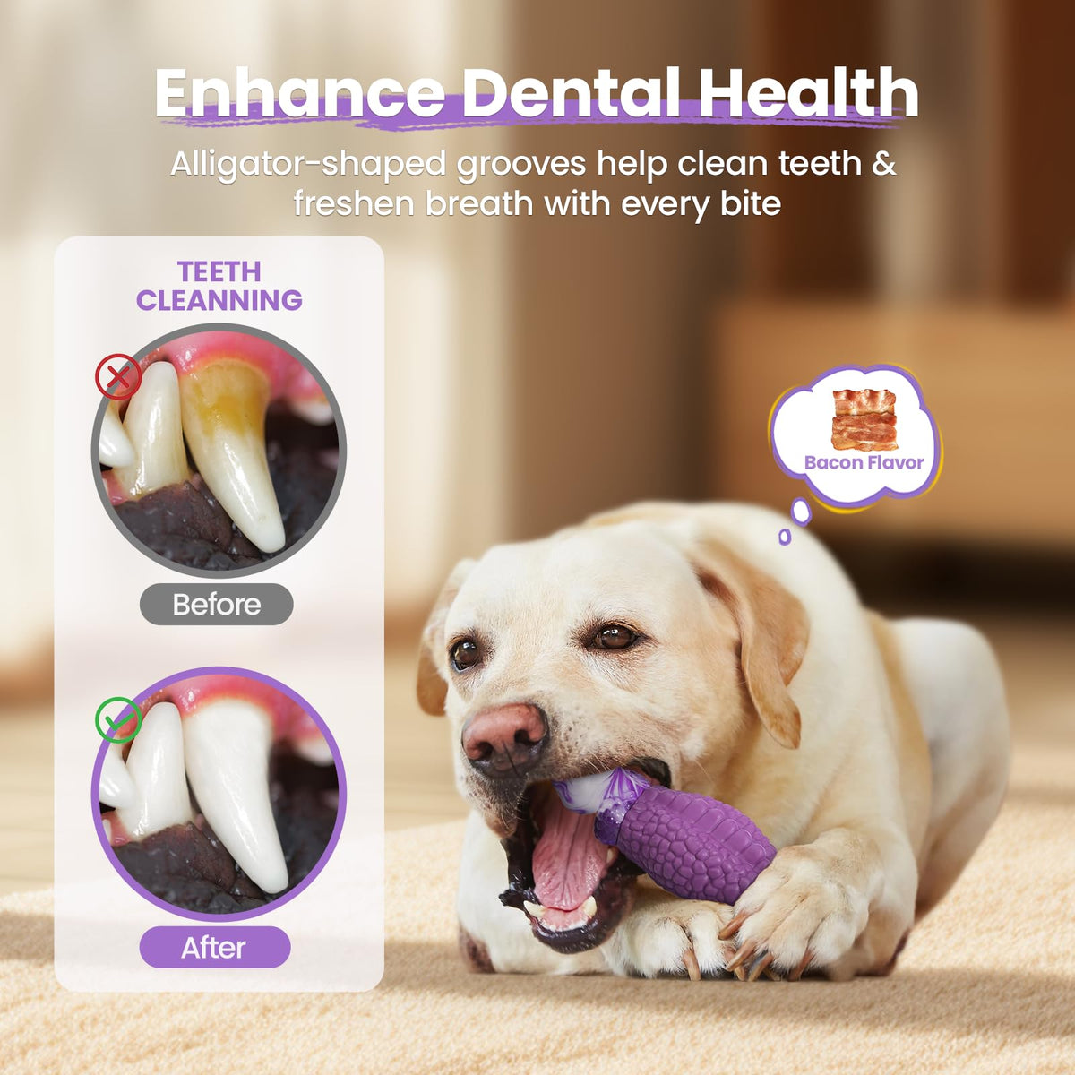 Tough Dog Toys for Aggressive Chewers O2808