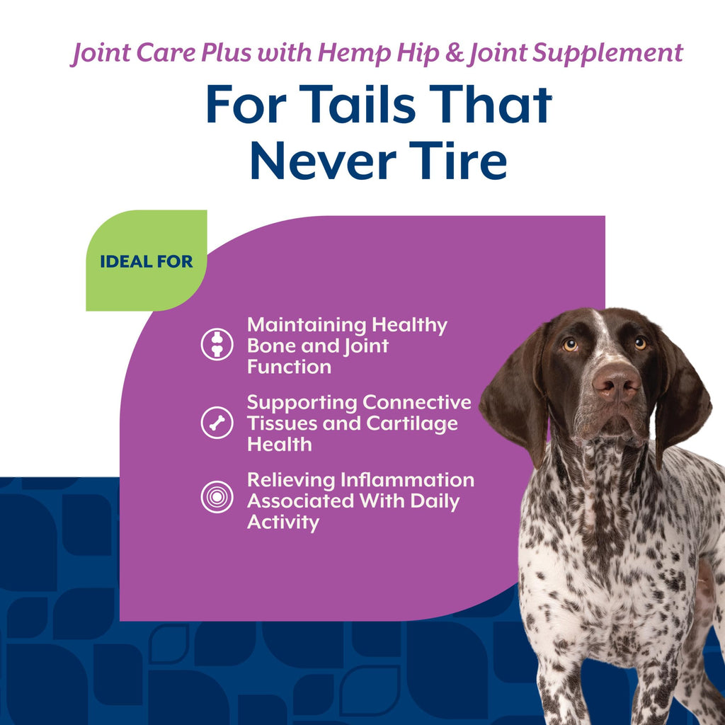 Hip & Joint Supplement for Dogs 120ct J701