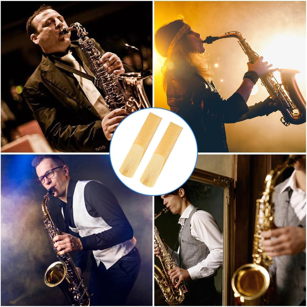 10 Pack Alto Saxophone Reeds 2.5 Strength Y4713