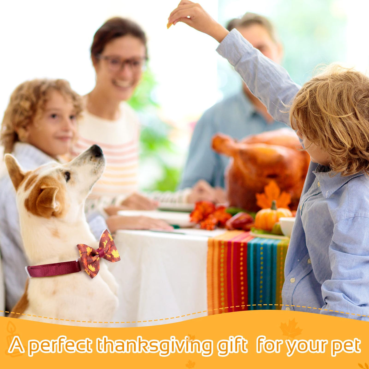 100 Pieces Fall Thanksgiving Day Dog Bow Tie Collar Set M630