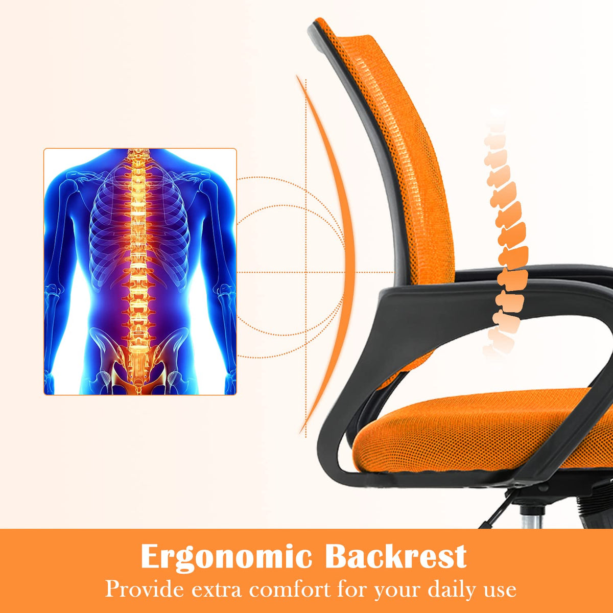 Adjustable Mesh Office Chair with Lumbar Support C41492