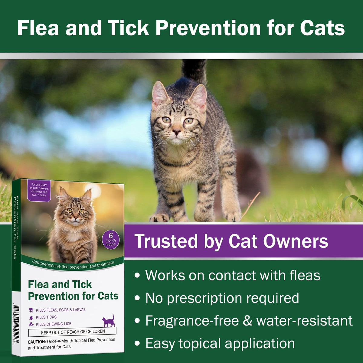 Cat Flea and Tick Prevention 6-Month Supply T5569