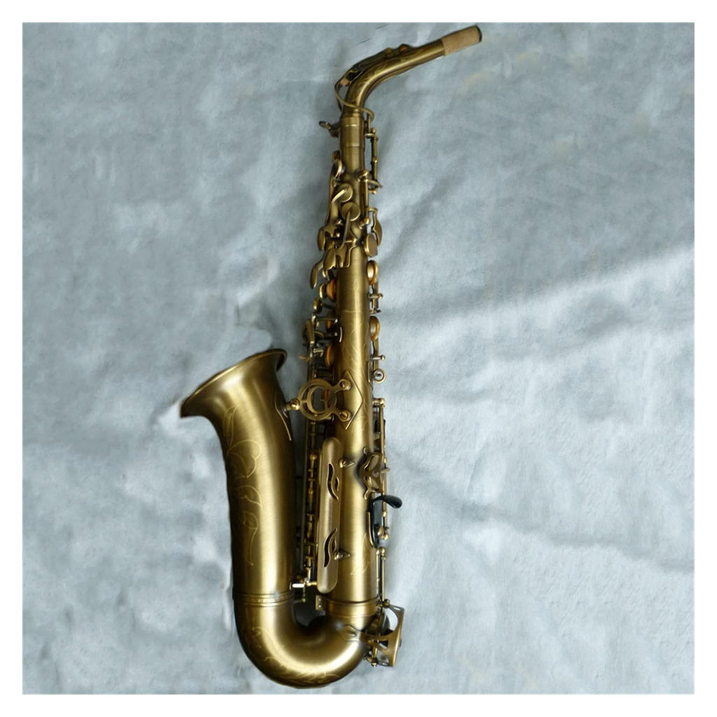 Alto Saxophone Set L6249