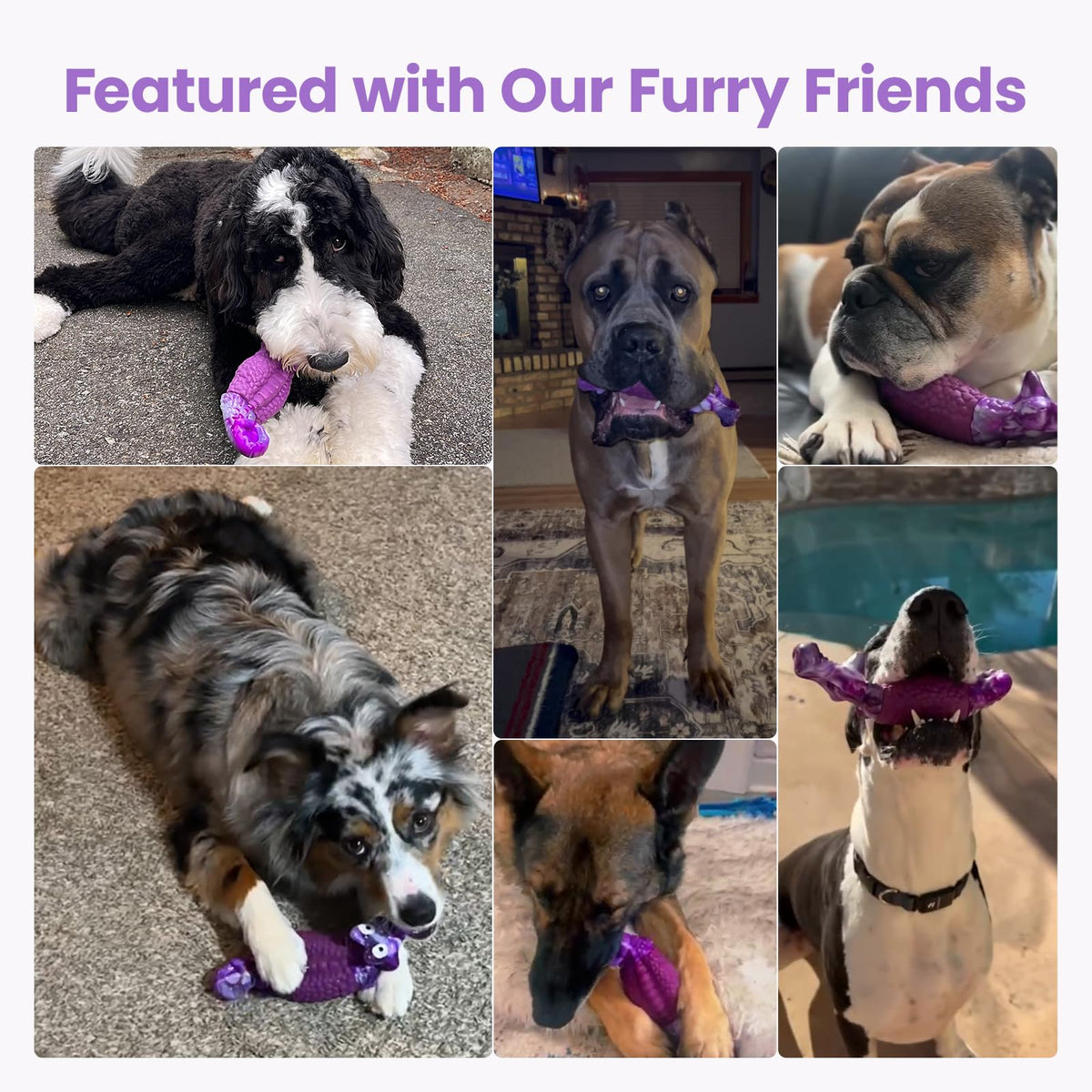Tough Dog Toys for Aggressive Chewers O2808