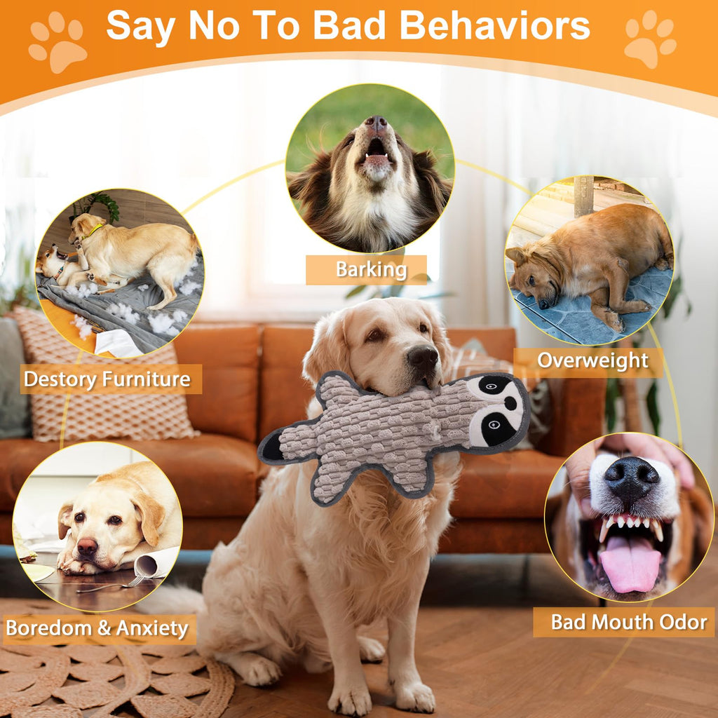 5 Pack Squeaky Plush Dog Toys with Crinkle Paper D36111