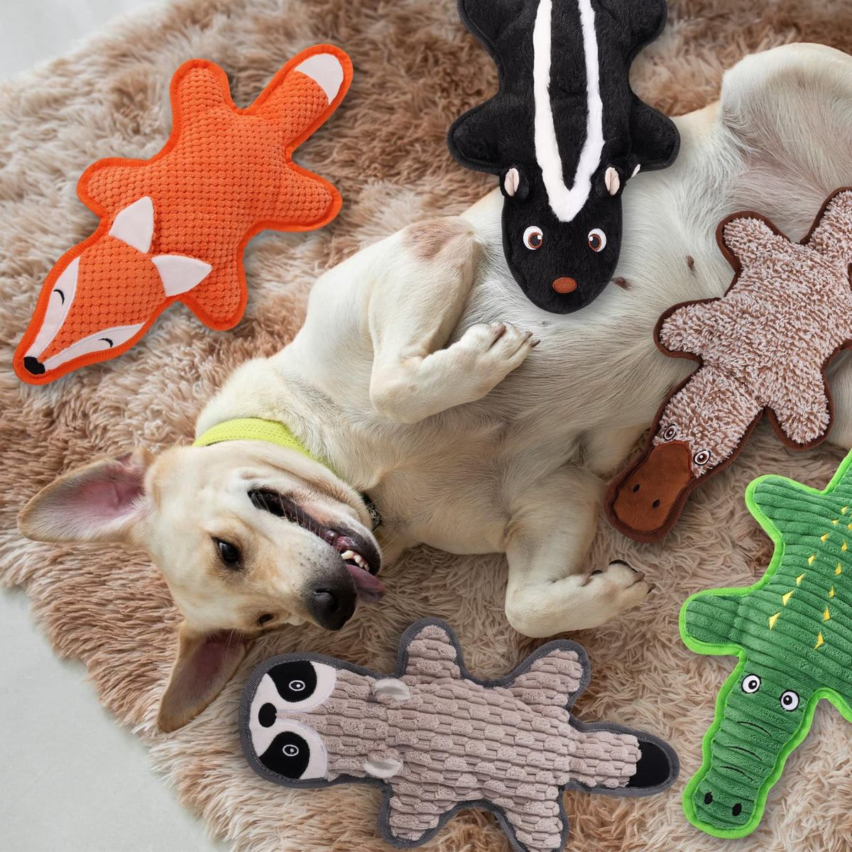 5 Pack Squeaky Plush Dog Toys with Crinkle Paper D36111