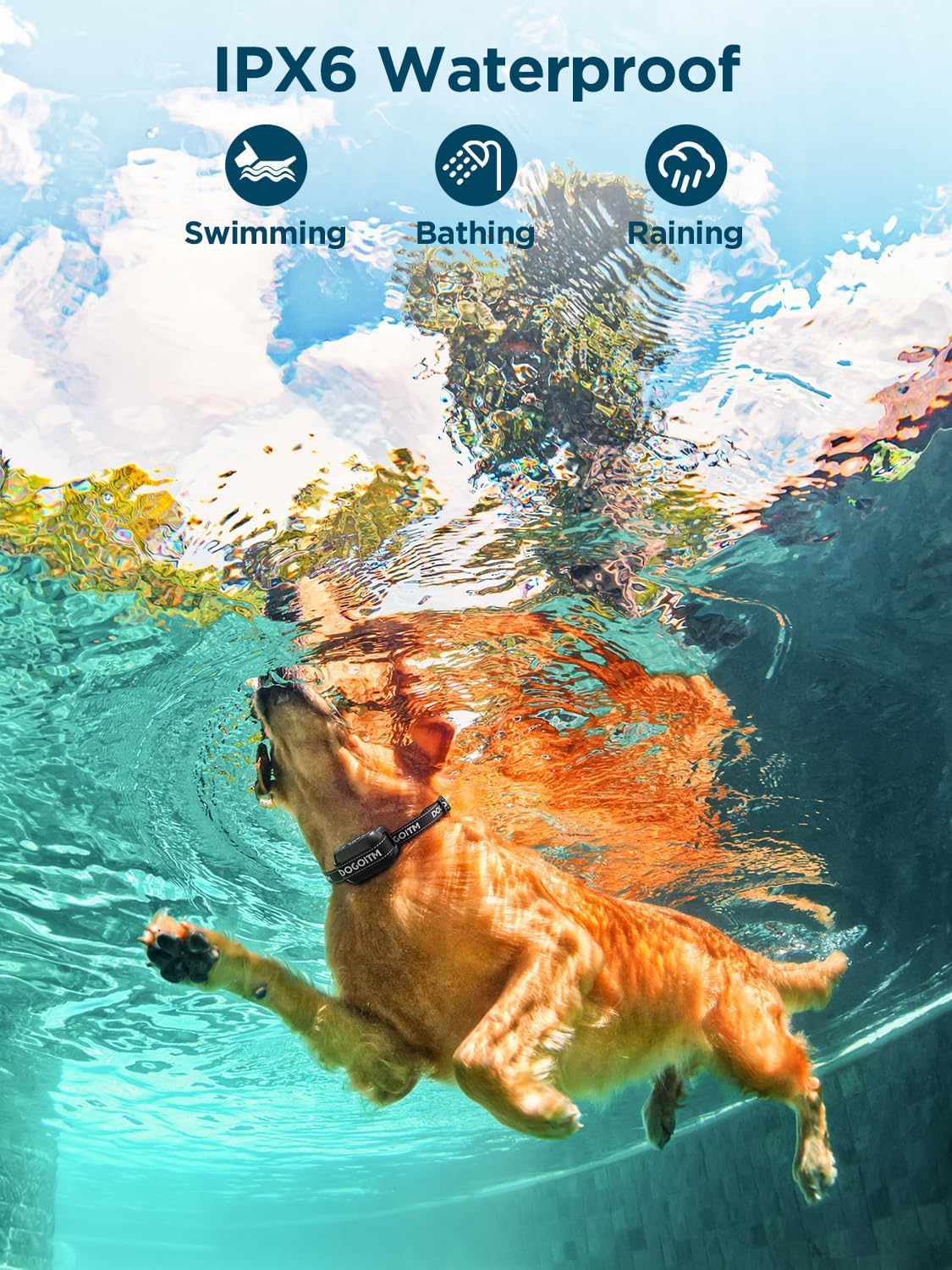 Wireless GPS Dog Fence IPX7 Waterproof F418189