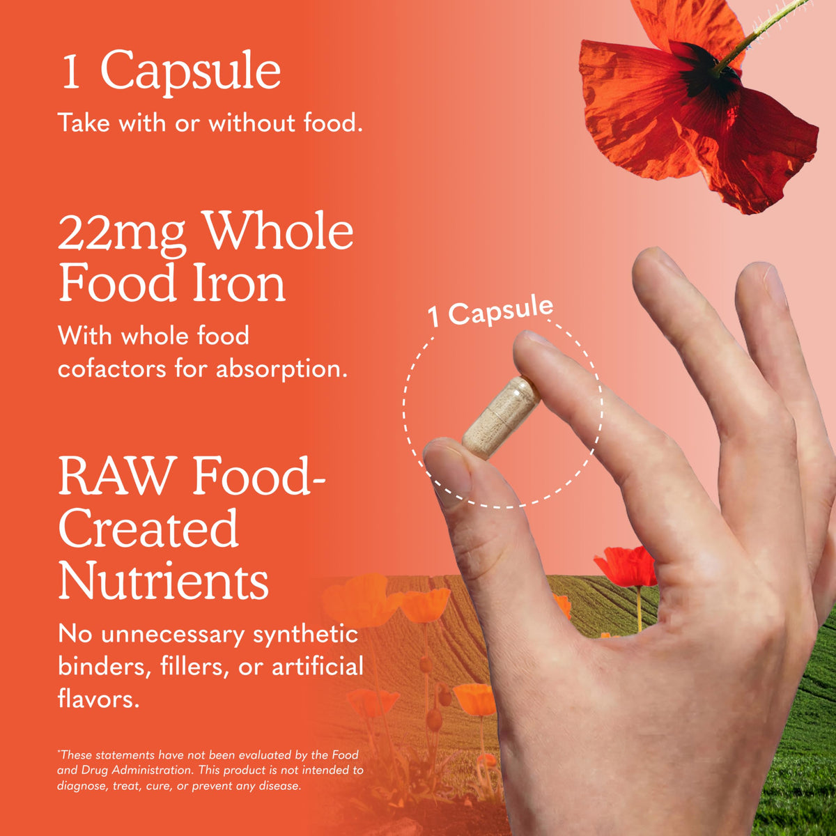 Vitamin Code Raw Iron Supplement, 30 Capsules K174