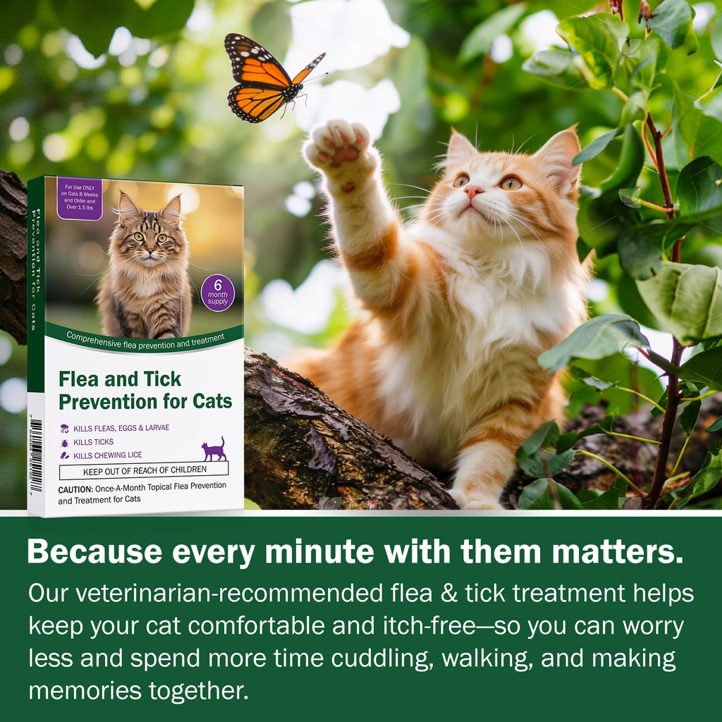 Cat Flea and Tick Prevention 6-Month Supply T5569