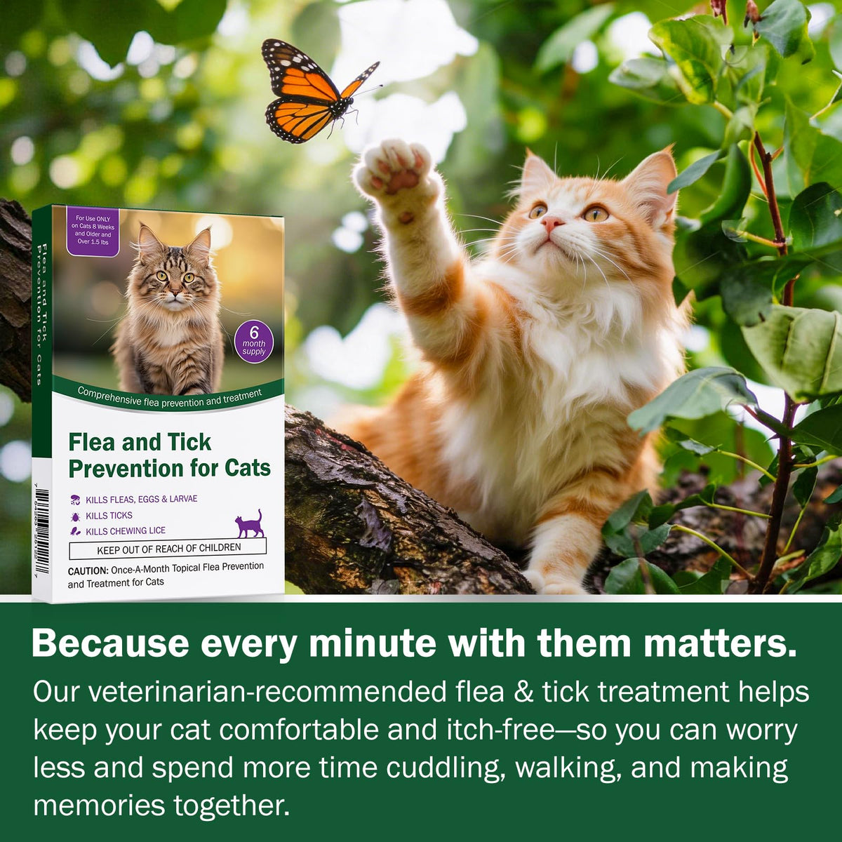 Cat Flea and Tick Prevention 6-Month Supply T5569