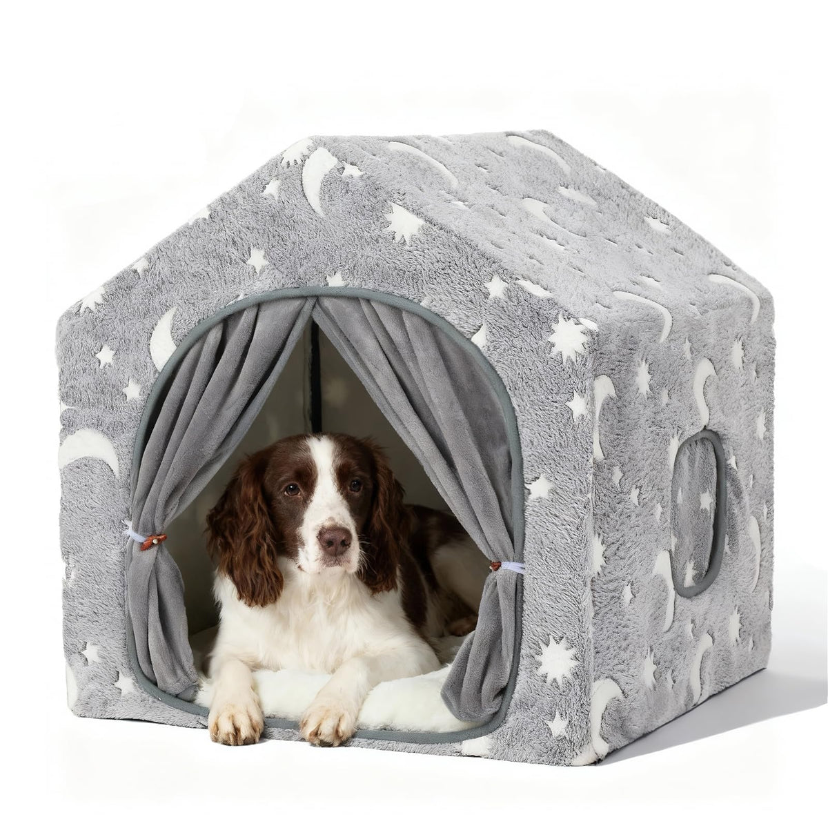 Indoor Dog House H5951