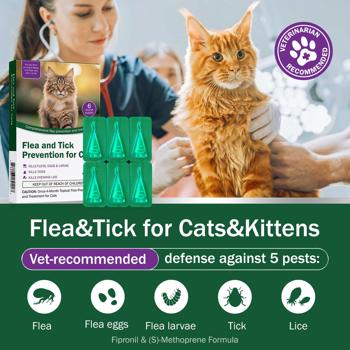 Cat Flea and Tick Prevention 6-Month Supply T5569